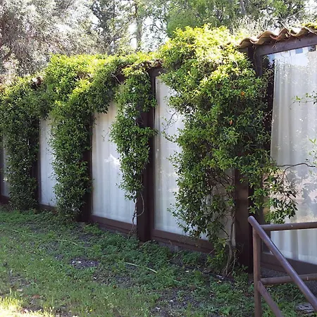 Bed and Breakfast Prestige Κατάνια